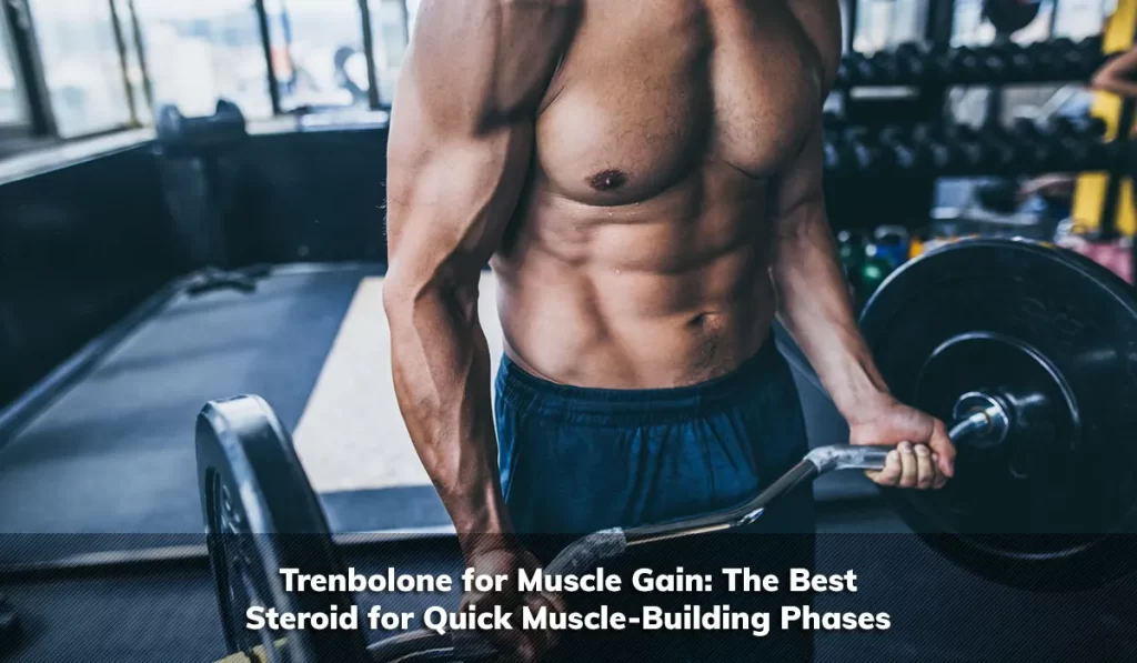 Trenbolone for Muscle Gain: The Best Steroid for Quick Muscle-Building Phases