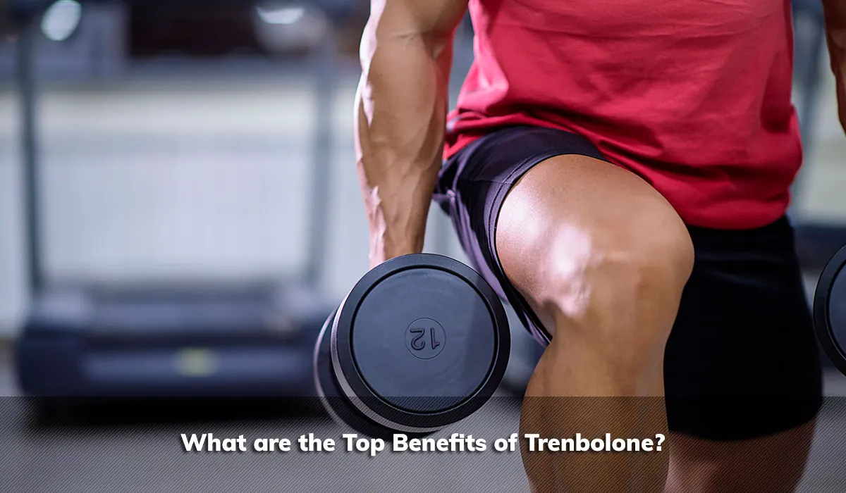 What are the Top Benefits of Trenbolone?
