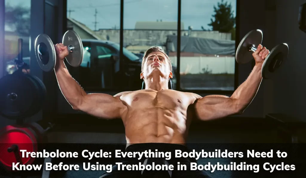 Trenbolone Cycle: Everything Bodybuilders Need to Know Before Using Trenbolone in Bodybuilding Cycles