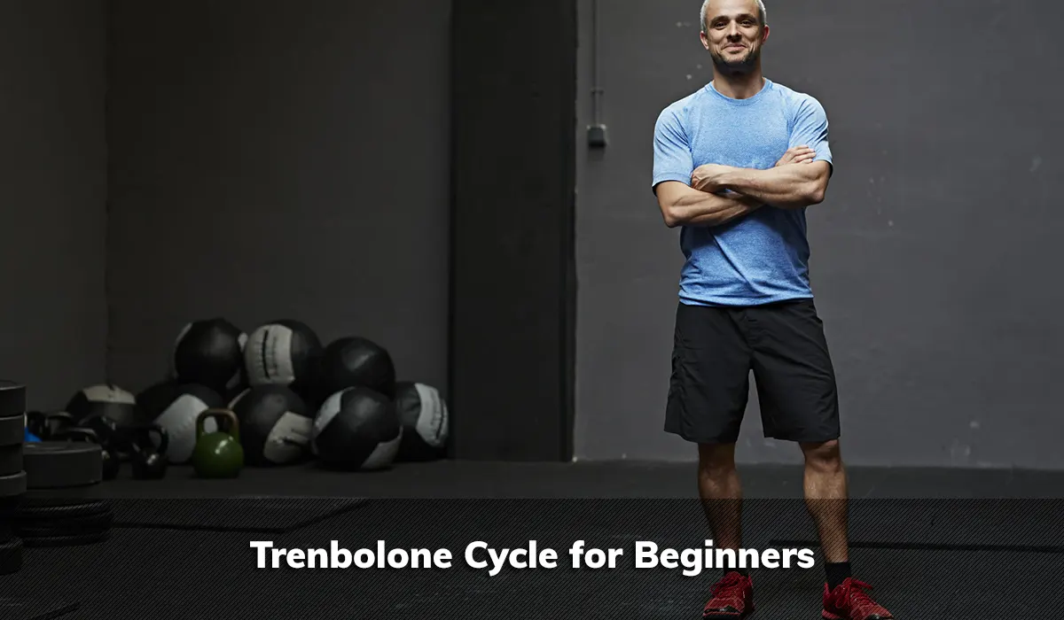 Trenbolone Cycle for Beginners