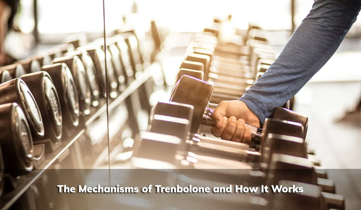 The Mechanisms of Trenbolone and How It Works