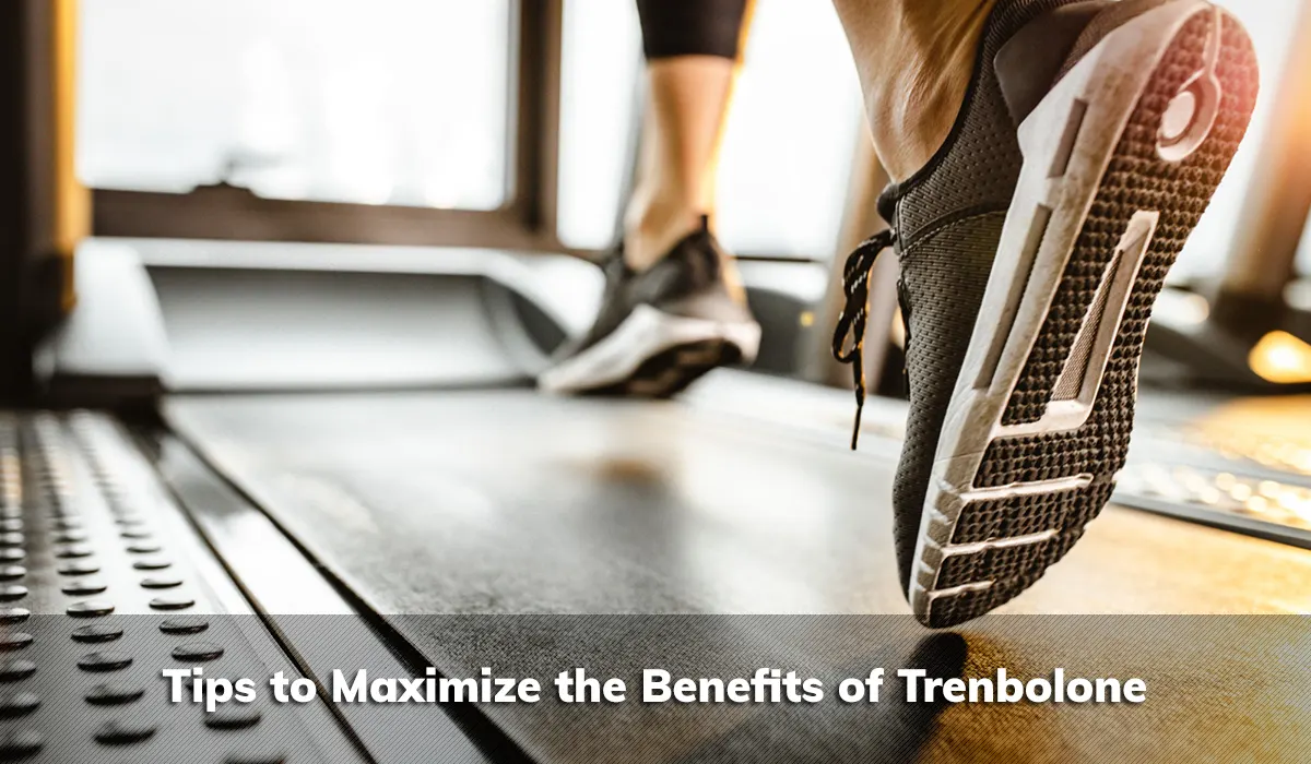 Tips to Maximize the Benefits of Trenbolone