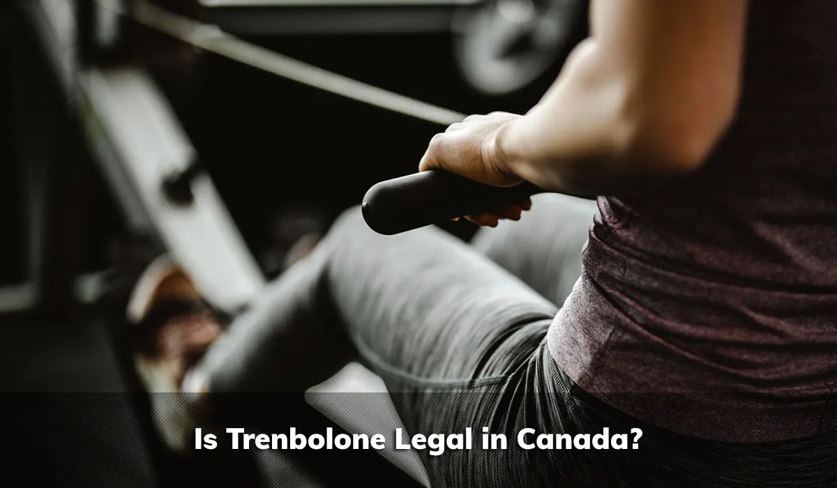 Is Trenbolone Legal in Canada?